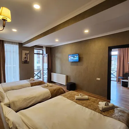 Snow King Hotel Bakuriani Exterior photo