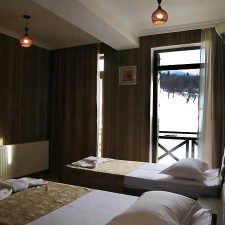 Snow King Hotel Bakuriani Exterior photo